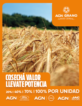 Banner 2026 Canje CEREAL- lateral